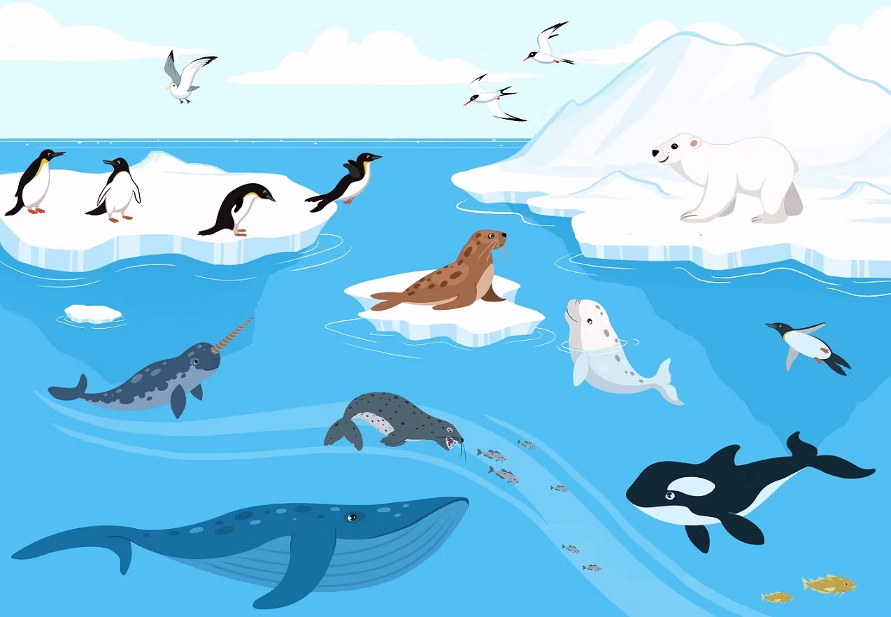 Illustration jeunesse 7